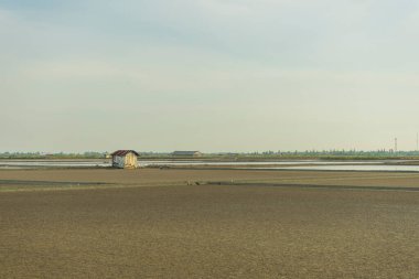 Doğanın güzel manzarası