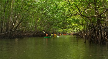 Krabi, Tayland - 3 Ocak 2019: Ao tha Lane, Krabi, Tayland 'da kayak yapan turist grubu 