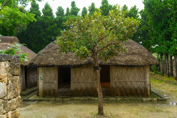 Gamla Ladugårdar Okinawa Village Vid Ocean Expo Park Okinawa Japan — Stockfoto