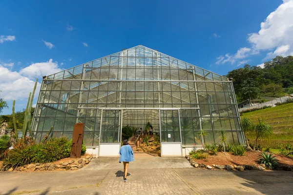 2018年11月30日タイ チェンマイ2018年11月30日タイ チェンマイにあるクイーンシリキット植物園のアリッド植物園の未確認観光客 — ストック写真