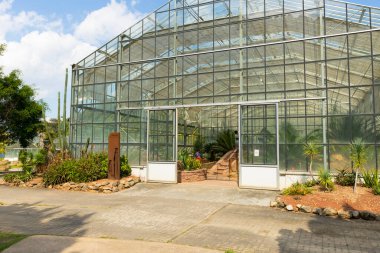 Chiang Mai, Tayland - 30 Kasım 2018: 30 Kasım 2018 'de Chiang Mai, Tayland' daki Kraliçe Sirikit Botanik Bahçesindeki Arid bitki serasında kimliği belirsiz kişiler.