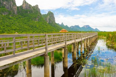 Khao Sam Roi Yod Ulusal Parkı 'ndaki Nilüfer Gölü' ndeki Tahta Köprü 'nün güzel manzarası..