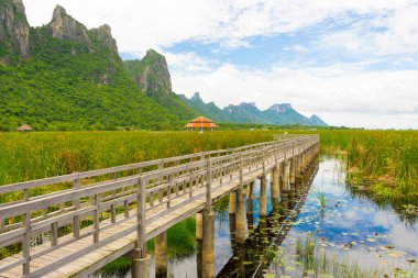 Khao Sam Roi Yod Ulusal Parkı 'ndaki Nilüfer Gölü' ndeki Tahta Köprü 'nün güzel manzarası..