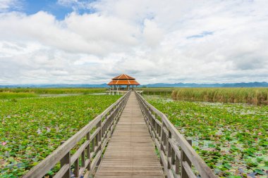Khao Sam Roi Yod Ulusal Parkı 'ndaki Nilüfer Gölü' ndeki Tahta Köprü 'nün güzel manzarası..