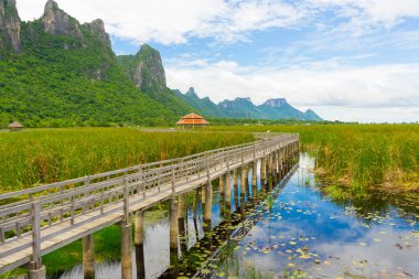 Khao Sam Roi Yod Ulusal Parkı 'ndaki Nilüfer Gölü' ndeki Tahta Köprü 'nün güzel manzarası..