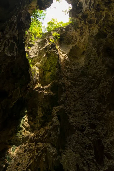 Luz Que Brilla Través Los Árboles Arriba Abajo Dentro Cueva —  Fotos de Stock