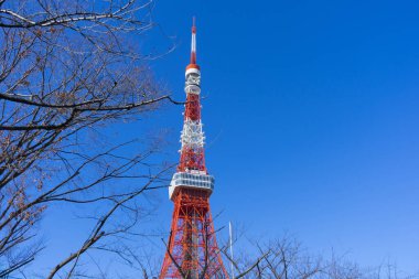 Tokyo, Japonya - 5 Ocak 2020: Tokyo Kulesi Tokyo, Japonya 'da mavi gökyüzüne karşı 5 Ocak 2020.