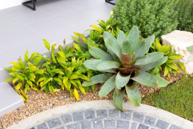 Çiçek ve yeşil yapraklar güzel bitkiler yürüme yolu üzerinde küçük dekore edilmiş bahçe bir ev.