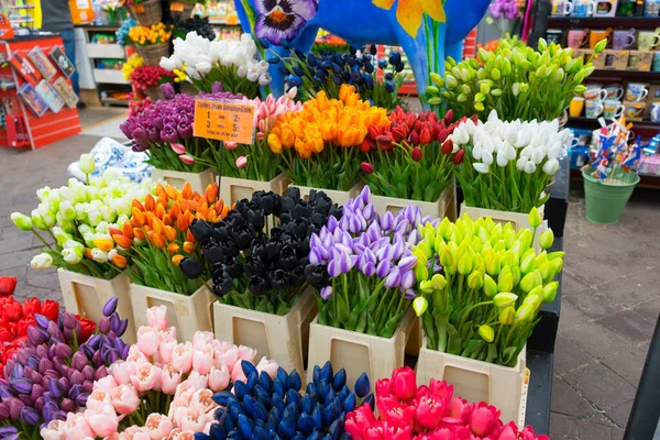 Amsterdam çiçek pazarındaki (Bloemenmarkt) dükkanda birçok farklı renk laleleri var..