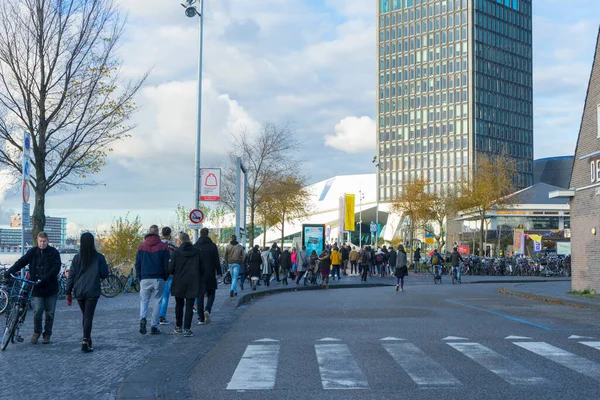 Amsterdam Hollanda Kasım 2019 Kasım 2019 Hollanda Nın Amsterdam Kentinde — Stok fotoğraf