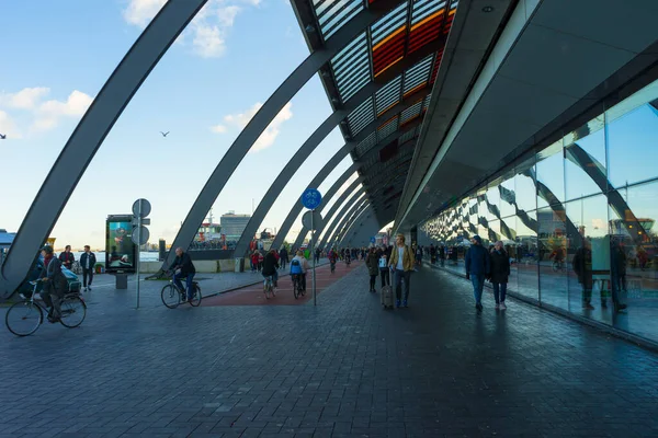 Ámsterdam Países Bajos Noviembre 2019 Estación Terminal Autobuses Amsterdam Centraal —  Fotos de Stock