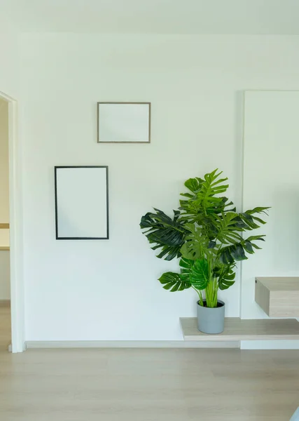 Interior Moderna Sala Estar Com Molduras Plantas Verdes — Fotografia de Stock