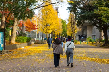 Tokyo, Japonya - 15 Aralık 2019: Kimliği belirsiz insanlar Tokyo, Japonya 'daki Ueno Park' ta kış havasının tadını çıkarıyorlar