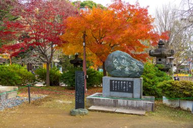 Şehir parkının güzel manzarası ve sonbaharda anıt.