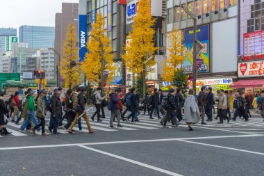 Tokyo, Japonya - 18 Aralık 2019: Tokyo, Japonya 'nın Akihabara ilçesindeki sokak ve şehir manzarası 18 Aralık 2019.