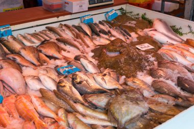 Amsterdam, Hollanda - 28 Kasım 2019: Hollanda, Amsterdam 'da Albert Cuyp Market' te birçok çeşit deniz ürünü satılıyor