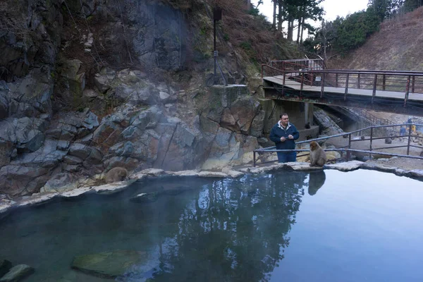 Nagano Japán December 2019 Híres Völgy Jigokudani Hot Spring Korakukan — Stock Fotó