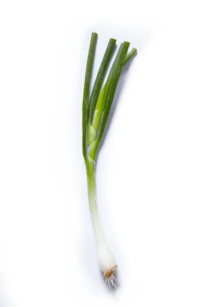 Cebolla Verde Fresca Aislada Sobre Fondo Blanco —  Fotos de Stock