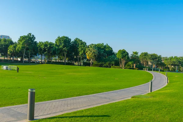 Doha Katar Listopada 2019 Niezidentyfikowane Osoby Odpoczywające Zielonym Trawniku — Zdjęcie stockowe