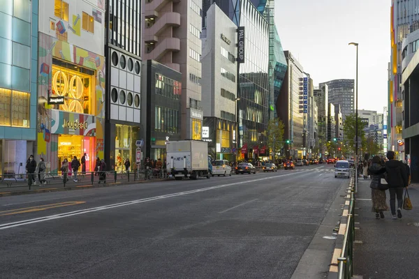 Tokio Japón Enero 2020 Multitud Personas Caminando Por Avenida Meiji —  Fotos de Stock