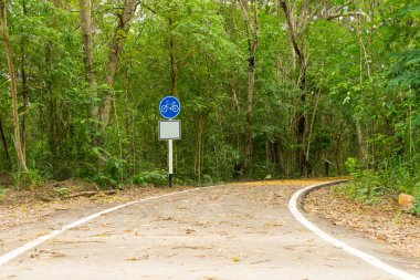 Ormanda bisiklet izleri