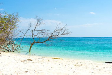 Mavi gökyüzü olan güzel tropikal plaj