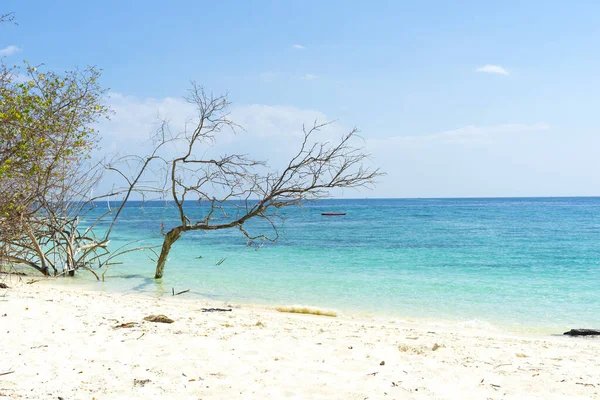 Beautiful Tropical Beach Blue Sky — Stock Photo, Image