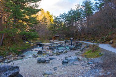 Nagano, Japonya - 16 Aralık 2019: Japonya 'nın Nagano şehrindeki Yamanouchi şehrinde ünlü bir Jigokudani Sıcak Bahar Vadisi.