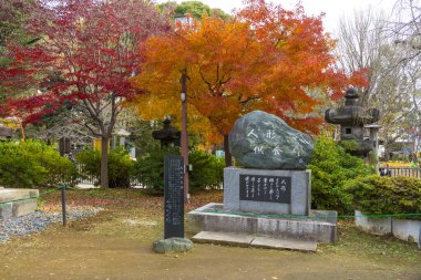 Şehir parkının güzel manzarası ve sonbaharda anıt.