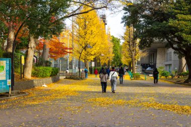Sokakta yürüyen insanlar, Japonya