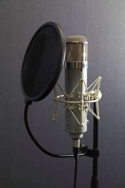 Stüdyo mikrofonu ve pop kalkanı, podcast ve sunum için gri arkaplan kavramına karşı mikrofon standında
