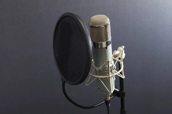 Stüdyo mikrofonu ve pop kalkanı, podcast ve sunum için gri arkaplan kavramına karşı mikrofon standında