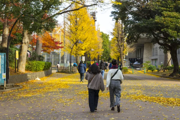 日本街头行走的人 — 图库照片