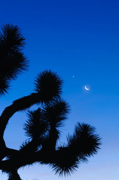 Salida de la luna al amanecer —  Fotos de Stock