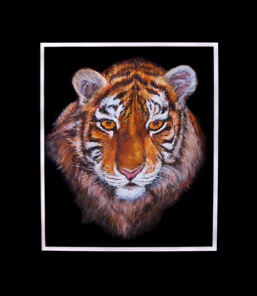 Huvudet av en tiger — Stockfoto