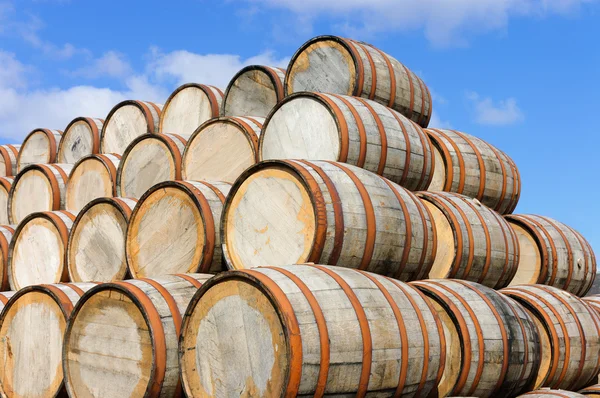 Barris de bourbon — Fotografia de Stock