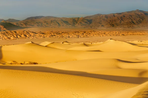 Mesquite dunes üzerinde şafak — Stok fotoğraf