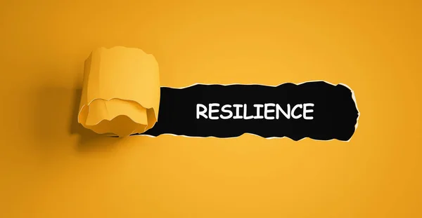 Tecnologia Internet Concetto Rete Parola Resilienza — Foto Stock