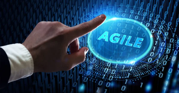 Business Tecnologia Internet Concetto Rete Sviluppo Software Agile — Foto Stock