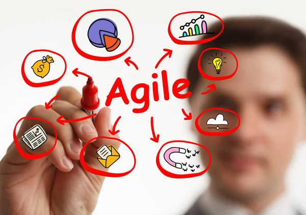 Business Tecnologia Internet Concetto Rete Sviluppo Software Agile — Foto Stock