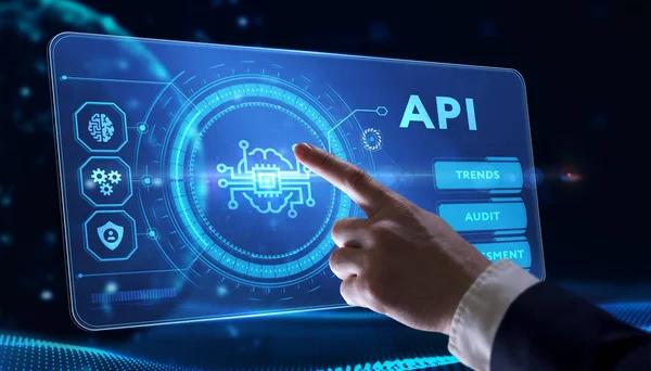 Api Interface Programação Aplicativos Ferramenta Desenvolvimento Software Negócio Tecnologia Moderna — Fotografia de Stock