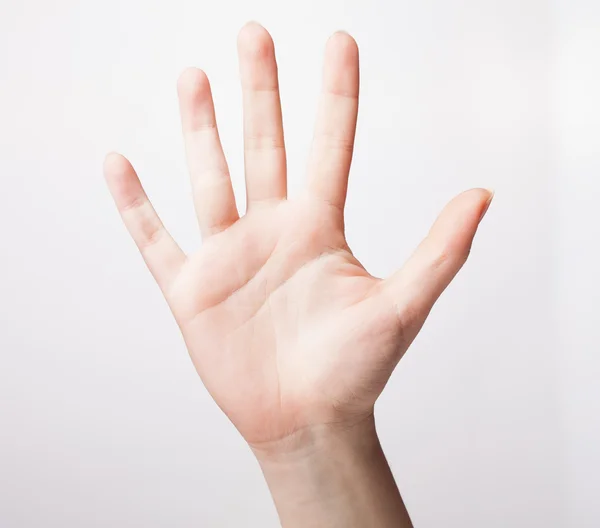 女性の手が白い背景に分離された 5 本の指を見せています。 — ストック写真