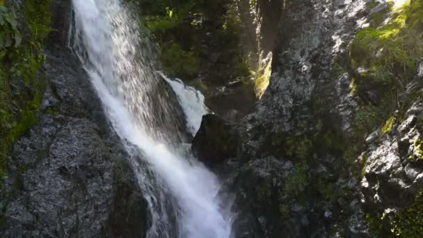 Sarai Waterfall, Batumi — Stock Video