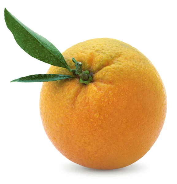 Wet orange — Stock Photo, Image