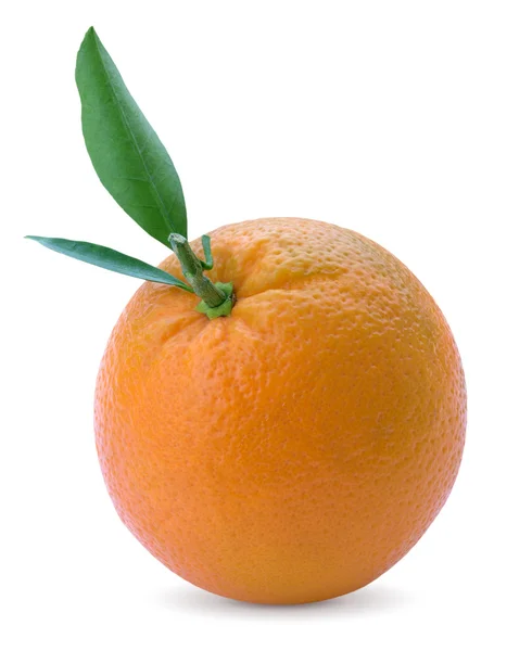 Citrus orange — Stock Photo, Image