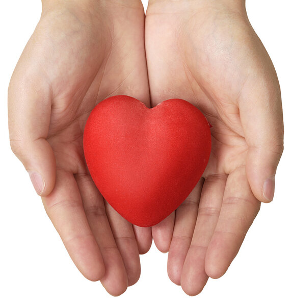 сердце в руках