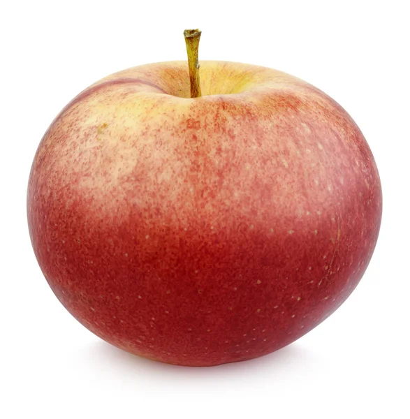 Roter Apfel — Stockfoto