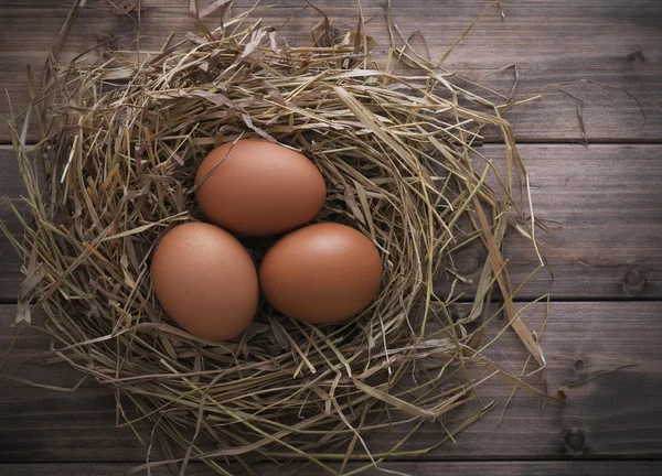 Telur dalam jerami — Stok Foto