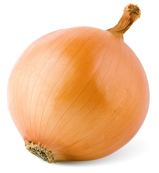 Bulb onion — Stock Photo, Image