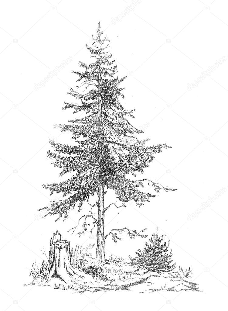 Istanza Di Disegno A Mano Libera Foto Stock Blackmts